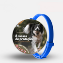 Colar Anti Pulgas e Carrapatos Safe Pet