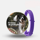 Colar Anti Pulgas e Carrapatos Safe Pet